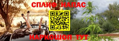 гидра Славянск-на-Кубани