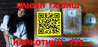 jwh Ставрополь