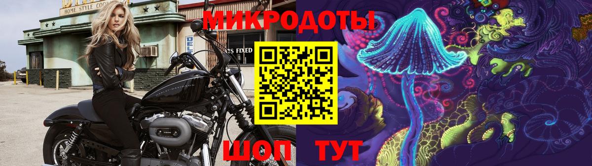 Балашиха  Галлюциногенные грибы GOLDEN TEACHER  Вход с VPN 