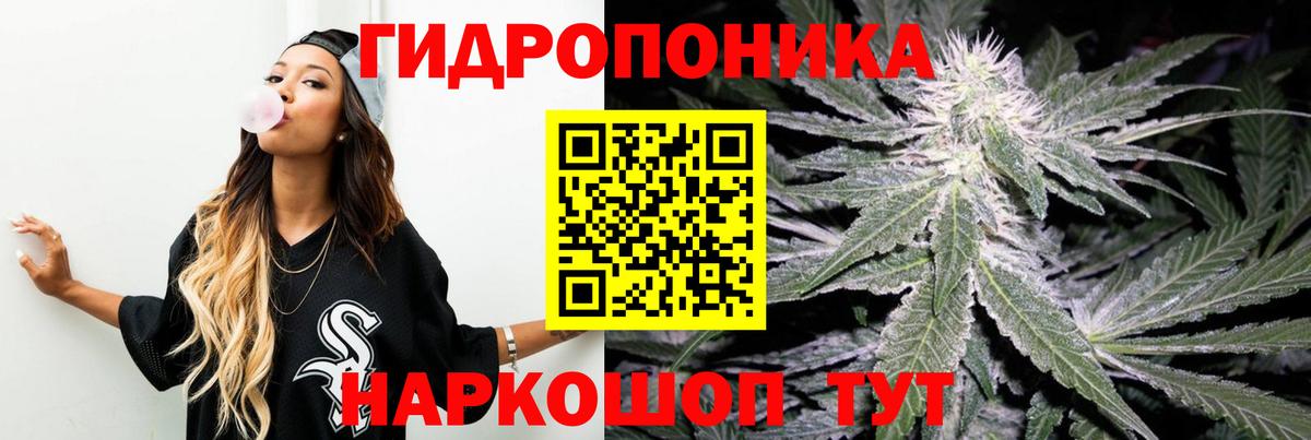 МАРИХУАНА MAZAR  Марихуана OG Kush  Каннабис сатива  Балашиха  Бошки Шишки VHQ  Вход с VPN 